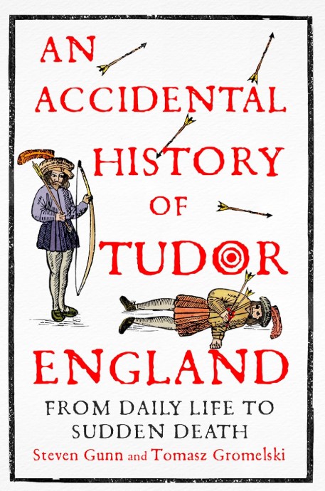 Cover of An Accidental History of Tudor England