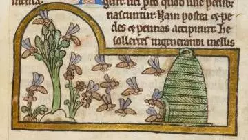 A drawing of a bee hive