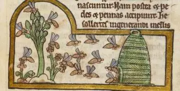 A drawing of a bee hive