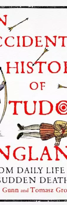 Cover of An Accidental History of Tudor England
