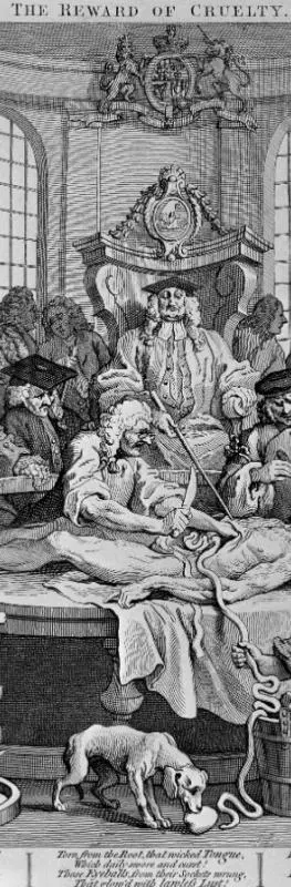 An engraving of a dissection with students watching on