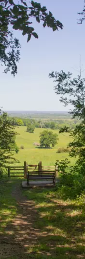Wytham Woods